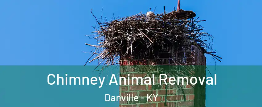  Chimney Animal Removal Danville - KY