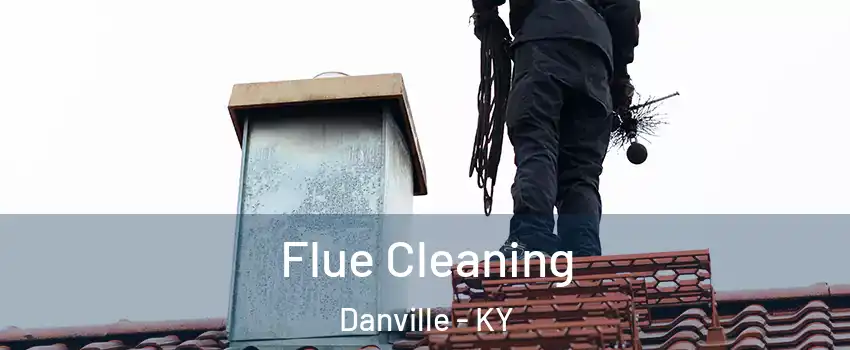  Flue Cleaning Danville - KY