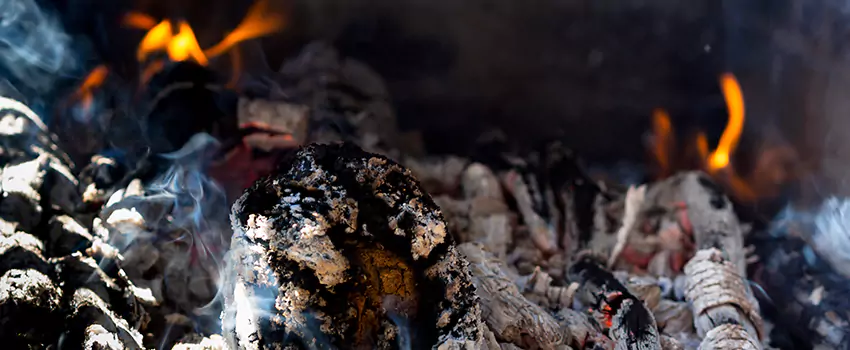 Creosote Removal Experts in Danville, KY