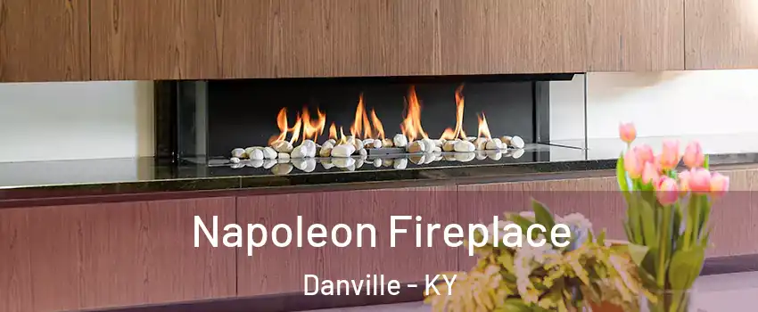  Napoleon Fireplace Danville - KY